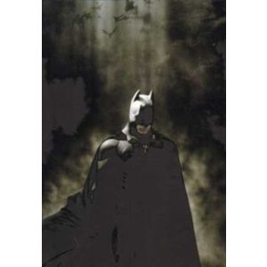 BATMAN BEGINS: THE OFFICIAL MOVIE GUIDE