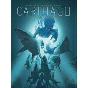 CARTHAGO: 07: DE PUT VAN KAMSTJAKA