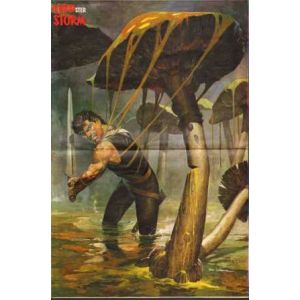STORM: MINIPOSTER 1982