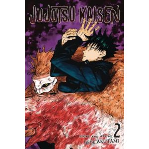 JUJUTSU KAISEN: 02: VERVLOEKTE BAARMOEDER (NED. EDITIE)
