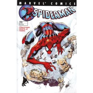 SPIDERMAN: 073