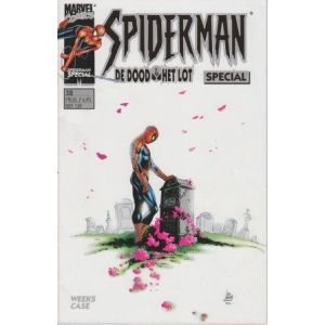 SPIDERMAN SPECIAL: 38