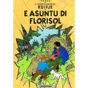 KUIFJE: SP: ZAAK ZONNEBLOEM (PAPIAMENTU)
