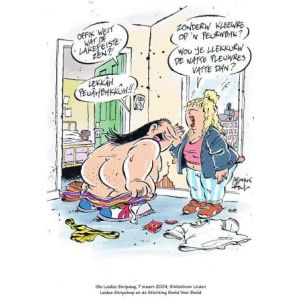 HAAGSE HARRY: LAKENFEESTEN