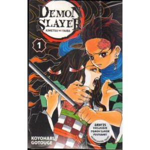 DEMON SLAYER: 01: KIMETSU NO YAIBA (NEDERLANDSE UITGAVE)